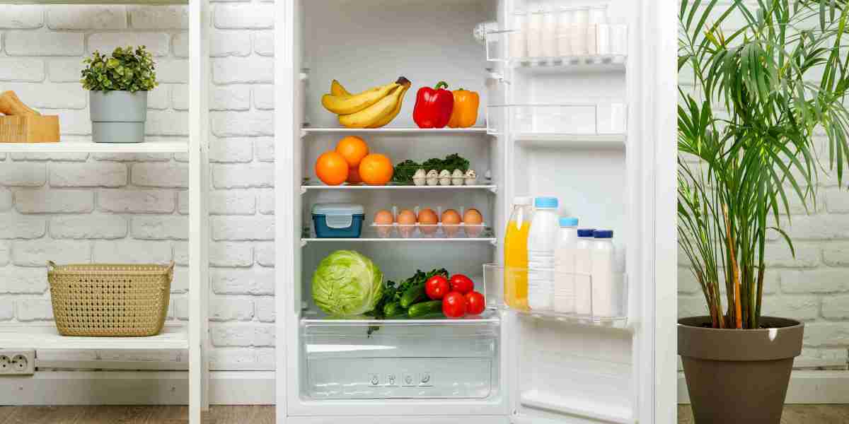 5 Fridge Freezer Lessons From The Professionals